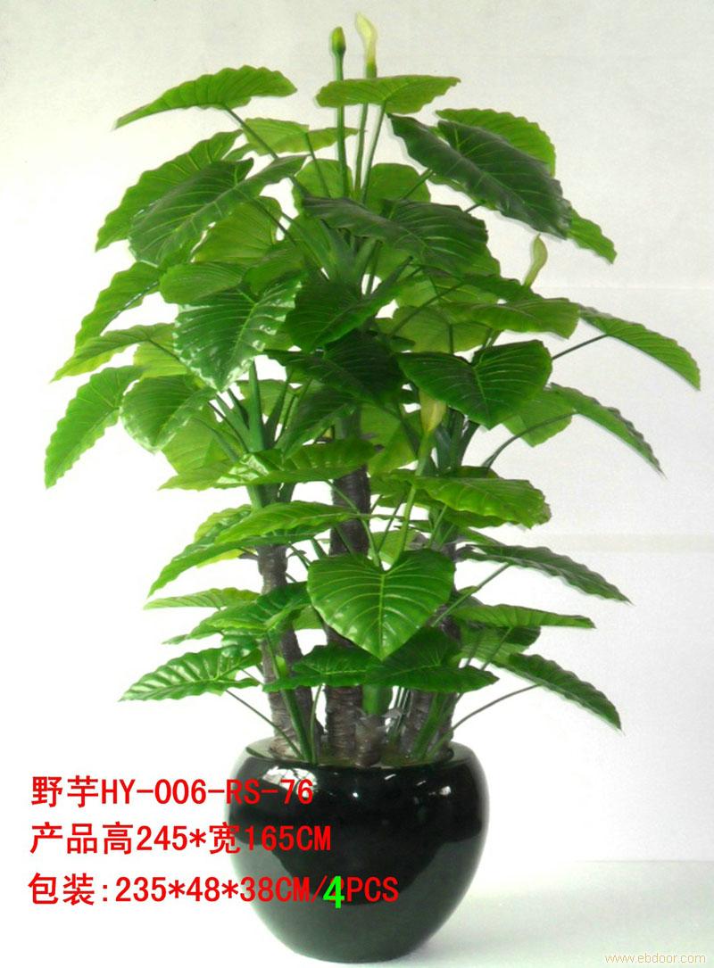 上海供应仿真植物