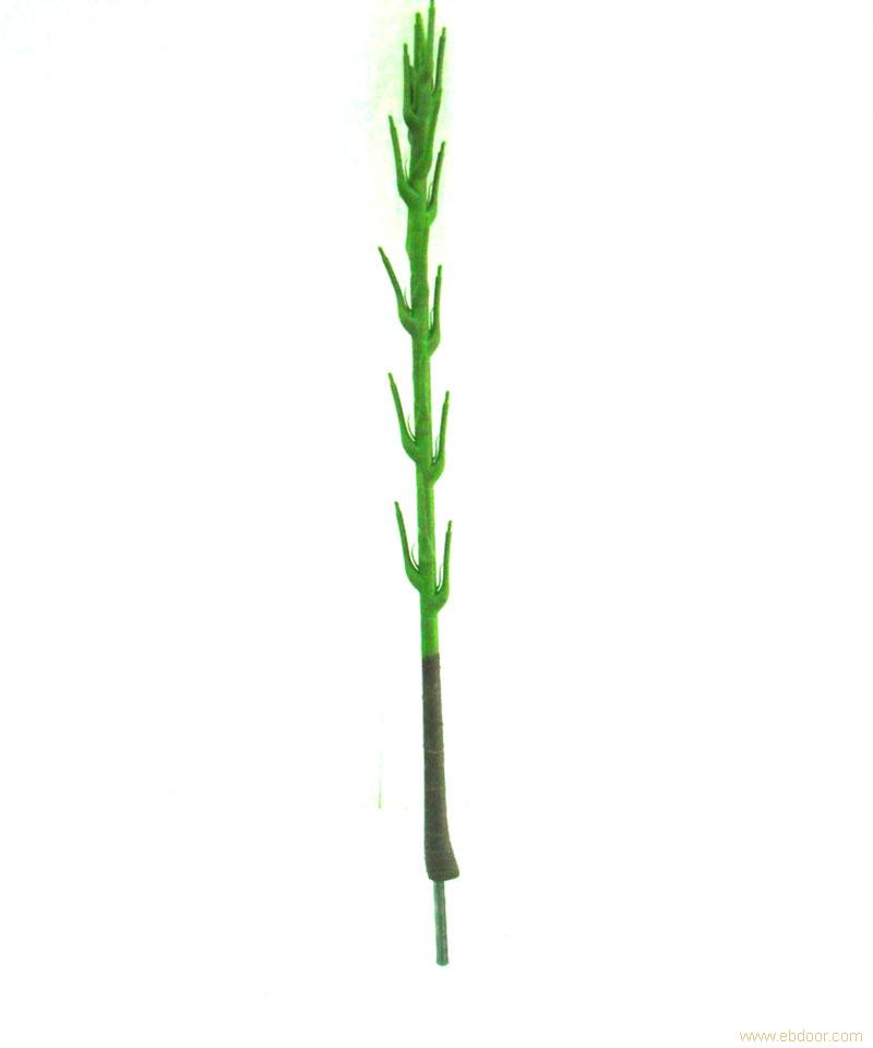 上海仿真植物制作