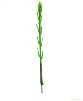 上海仿真植物制作