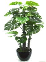 上海仿真植物经销商