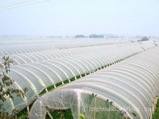 SLP小屋顶玻璃温室大棚-上海承建玻璃温室