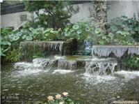 上海水景绿化 上海水景绿化工程价格
