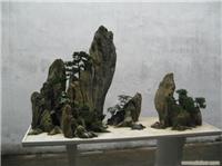 上海石景绿化 上海石景绿化工程公司