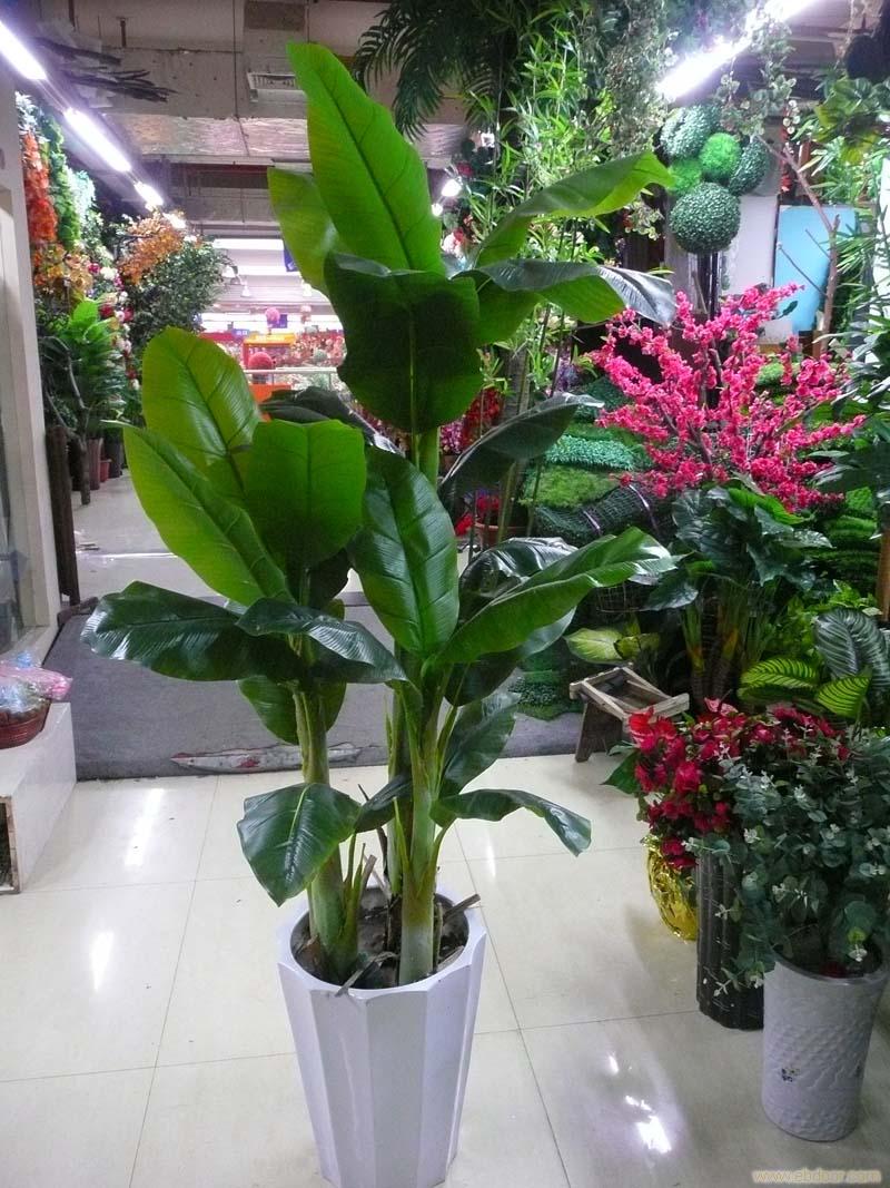 上海供应仿真芭蕉树