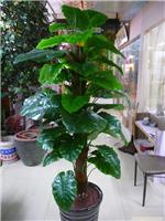 仿真树直销厂家