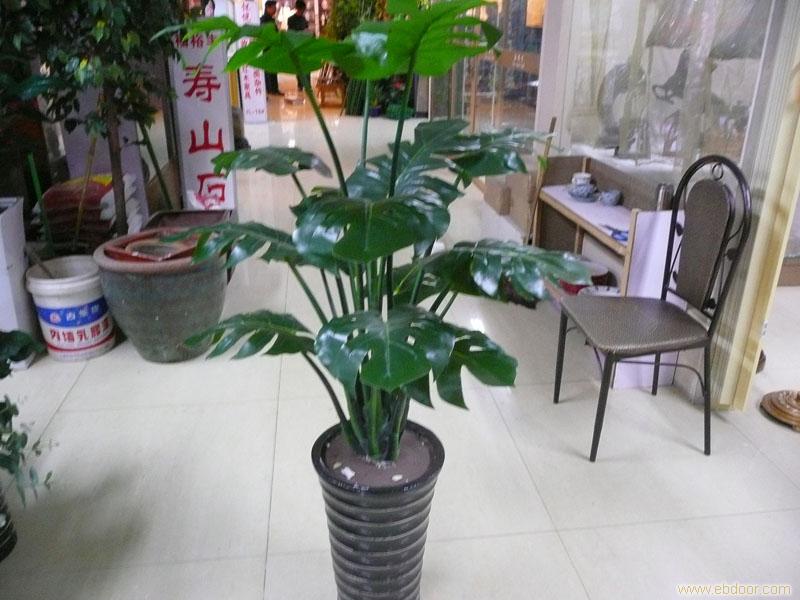 上海仿真植物批发厂