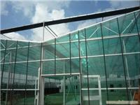 南美白对虾价格