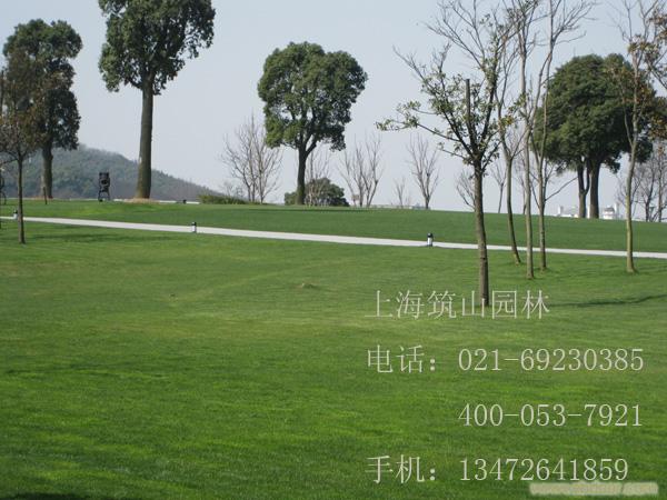 上海工厂绿化园林公司