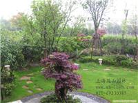 上海专业别墅绿化，精心设计