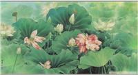 邹传安荷花