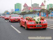 上海旅游面包车\出租金杯一天多少钱\上海租车网站\上海租车一天多少钱\上海租车热线