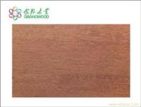 上海山樟树名贵木材价格