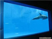 亚克力鱼缸-给您呈现一个精彩的海底世界！！