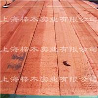 红雪松102*204
