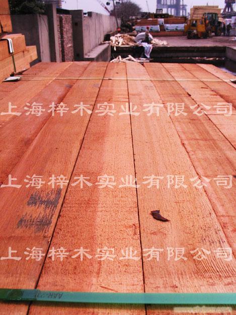 红雪松102*204