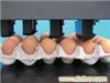 小霸王高解析多喷头鸡蛋喷码机