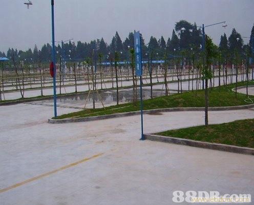 上海学车联盟