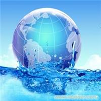 上海网络公司-上海网络推广公司