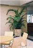 上海办公室盆景花卉长期租赁