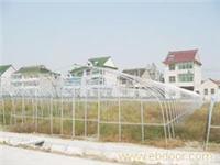 GP625型单体钢管大棚_上海温室大棚_上海温室工程_单体钢管大棚价格