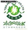 西红柿