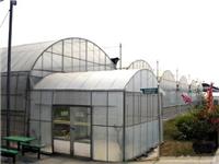 外置缓冲间薄膜温室-上海温室大棚搭建-上海温室设备-上海温室工程