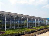玻璃温室-上海玻璃温室大棚-上海玻璃温室搭建-上海玻璃温室价格