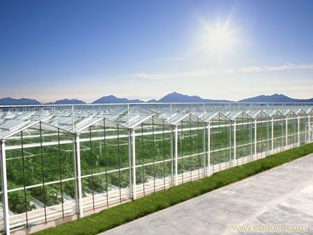 文洛式小尖顶玻璃温室-上海玻璃温室设备-上海温室大棚-上海温室设备厂家