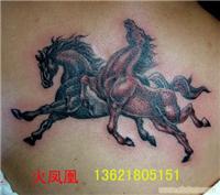 上海的专业刺青工作室_上海哪里有专业刺青工作室