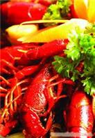 南京香辣龙虾料价格