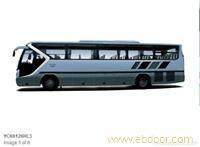 中大车型 - 团体客车&旅游客车 - 12米 - YCK6126HL3