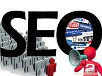 网站维护业务及价格