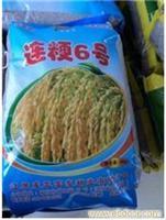 连云港种子批发销售