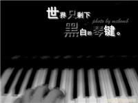 上海二手钢琴专卖_上海进口二手钢琴价格_日本二手钢琴价格