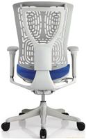 金典PE-G-LM|人体工学椅|办公电脑椅