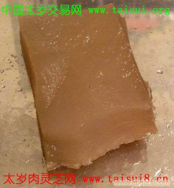 ... 灵芝 公司 供应 信息 保真 肉 灵芝 假 太岁 鉴别 销售