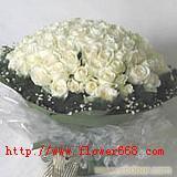 99枝白玫瑰-一生一世的情-上海鲜花网-上海鲜花速递-上海实体鲜花店