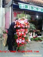 开业乔迁花篮-红红火火-上海实体鲜花店-上海鲜花网-上海鲜花速递-上海订花
