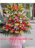 大展鸿图-上海鲜花网-上海鲜花速递-上海实体鲜花店