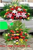 开业花篮 开张花篮 乔迁花篮 黄浦区鲜花店 福州路鲜花店