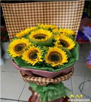 8枝向日葵-上海实体鲜花店-静安区鲜花店-黄浦区鲜花店