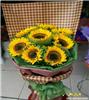 8枝向日葵-上海实体鲜花店-静安区鲜花店-黄浦区鲜花店