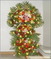 上海专业提供各种开业花篮