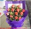 12枝粉玫瑰-上海实体鲜花店-上海鲜花店-静安区鲜花店