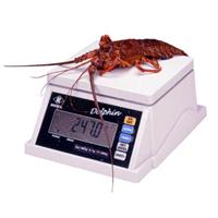 电子防水秤�