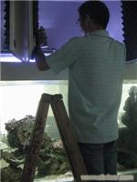 水族箱养护 