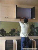 清洗鱼缸 