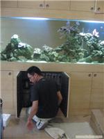 鱼缸护理 