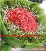 粉玫瑰33枝-上海实体鲜花店 上海市鲜花网 上海市鲜花速递