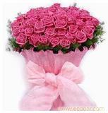 紫玫瑰51枝-上海市鲜花店 上海市实体花店 上海市鲜花订购